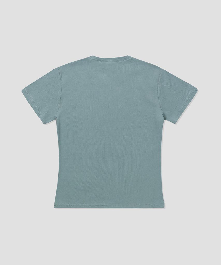 DICKIES Gladeville T-Shirt Stormy Sea