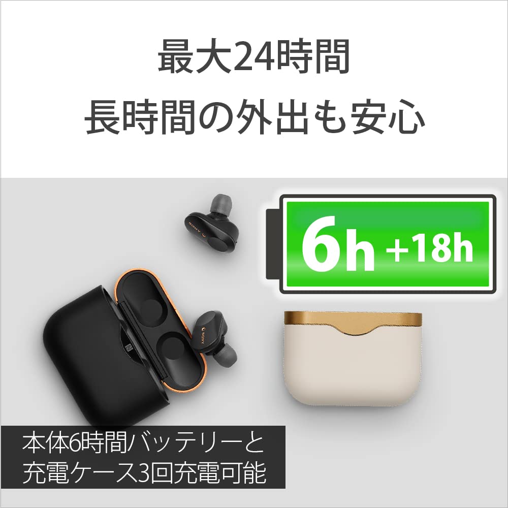 Sony Wireless Earphones Fully Wireless Amazon Alexa Bluetooth Audio Equivalent Up To 6 Hours of Continuous Playback 2019 Model With Microphone 360