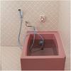 Takagi (Takagi) jet quick shower B406IV convenient for bathrooms without a bath shower
