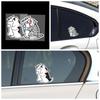Accessori esterni – Adesivi per auto