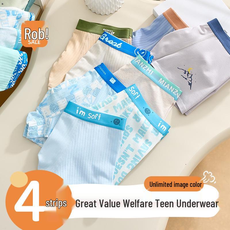 Clearance: Boys' Boxer Briefs for Pre-Teens and Teens