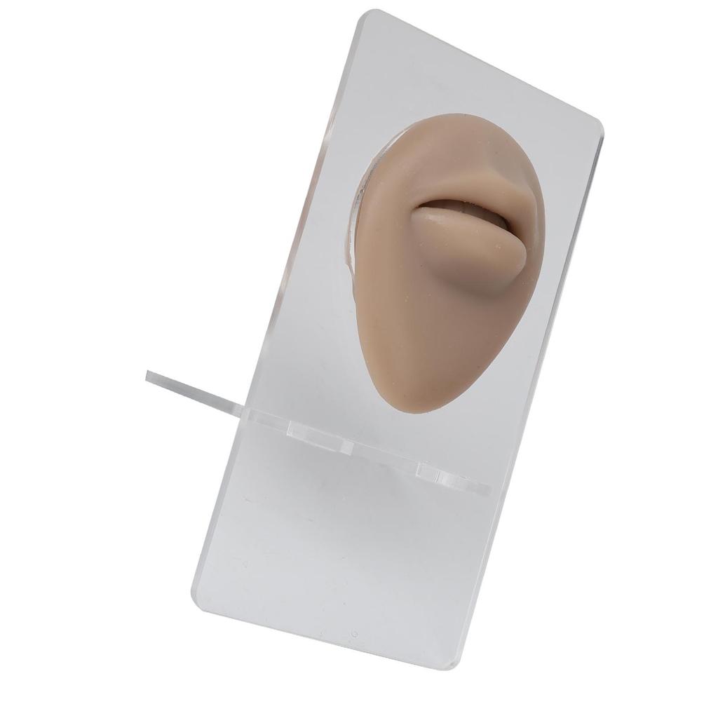 Silicone Lips Model 3D High Simulation Lifelike Elastic Lip Piercing Tattoo Practice Fake Lip Model for Training