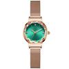 Women's Watch Waterproof Fashionable Peacock Green Quartz Analog Steel Mesh Band Simple Casual Student Wrist Watch Green