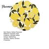 Tabletop Scratch Protector Pads Lemon Lace Placemat, Clear Embroidery Style Table Mat with Citrus Fruit Decorative Dining Placemats Leaf Design,