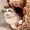 Pet Soft Winter Warm Caves Cat Cave Beds For Indoor Cat Nest Semi-Enclosed Dog Tent Bed With Cover Kitten Small Animals Nests