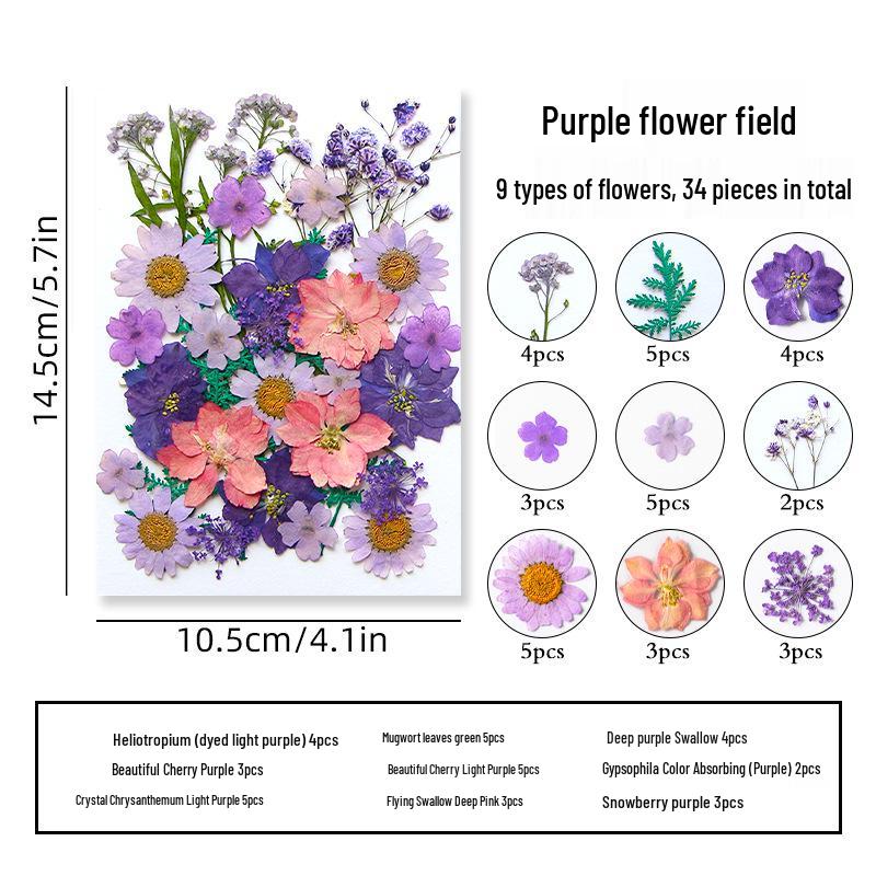 DIY Dried Flower Specimen Sticker Set for Kids: Handmade Pressed Flower Frames & Resin Bookmark Craft Kit