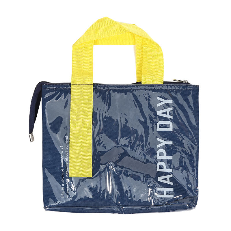 Fashion Travel Picnic Portable Thermal Bento Tote Bag Large Capacity Simple Thickened Waterproof Lunch Organizer Bag