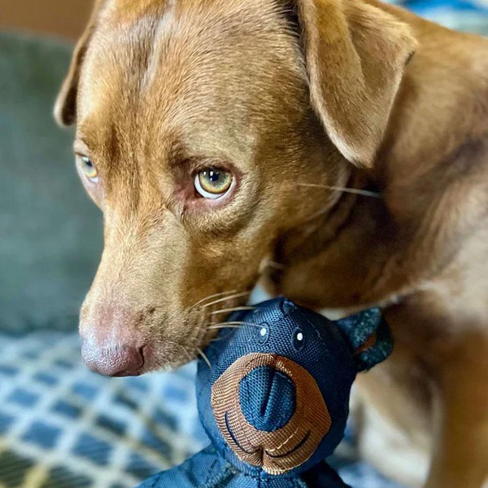 Unbreaka Bear Dog Teddy Extreme Bear Dog Toys Aggressive Chewers Indestructible Stuffed Plush Dog Squeaky Toy