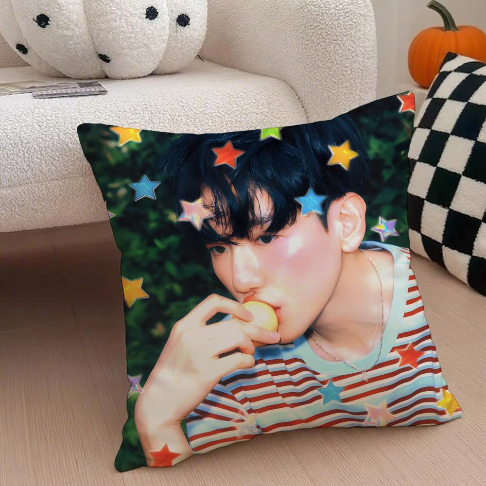Classic Korean Handsome Singer BByun Baekhyun Cushion Cover Throw Pillow Cover Hidden Button Durable Polyester Chair Cushion