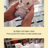 NMIXX [Artist Label : NMIXX Edition] MD (SULLBBUNI PLUSH KEYRING BUBBLE Ver.)