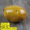 Plastic Foam Weighted Fruit & Vegetable Decorative Props