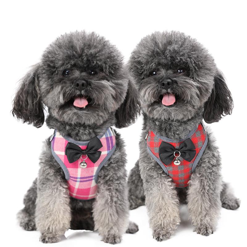 Popular Pet Dog Leash and Harness Set