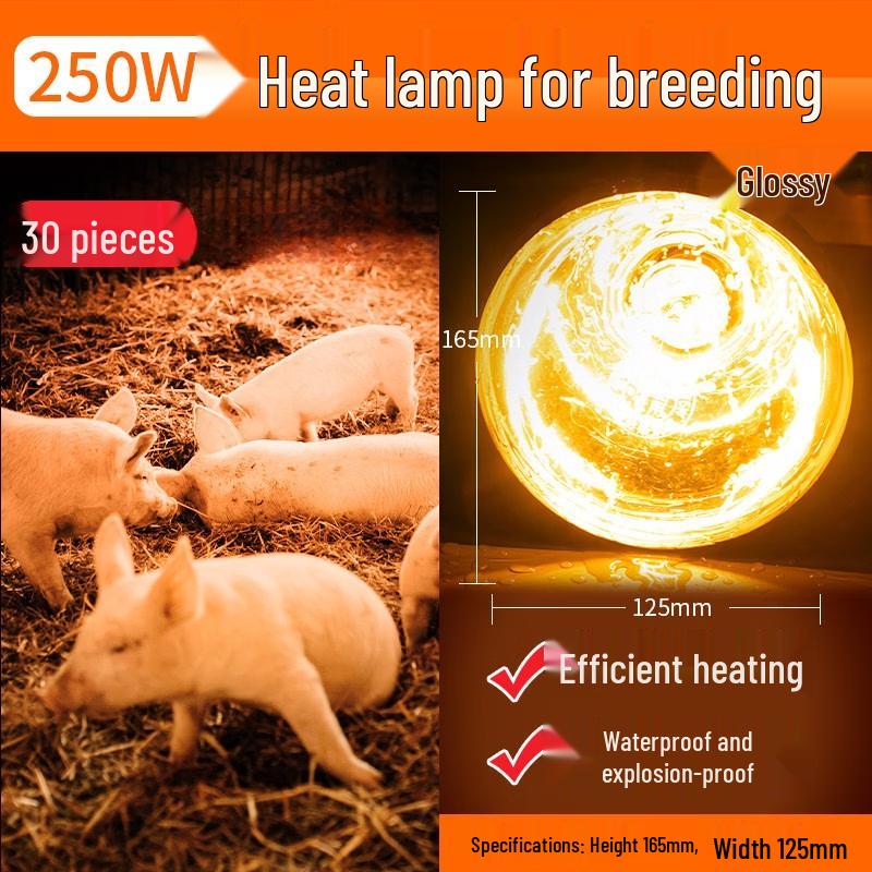 250W Aluminum Head Brooder Heat Lamp
