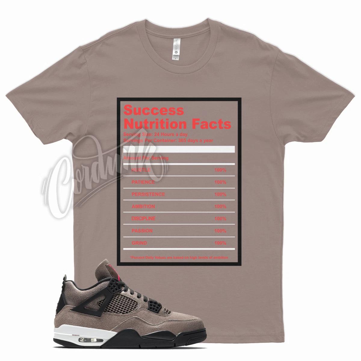 Футболка Taupe SUCCESS FACTS в тон к J1 4 Taupe Haze Infrared IV XL