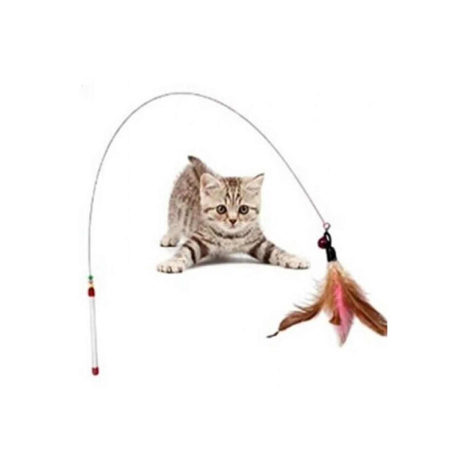 

Cat Playing Rod 90 Cm Colorful Feathered Cat Toy
