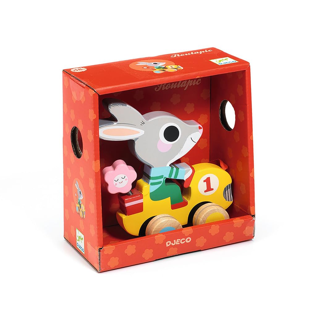 DJECO Pull Along Toy a Raccoon Rabbit Toy for Walking Suitable for Ages 1 18 2 and A Great Gift for Sports or Any Autumn - Roulapic, Practice, Year,