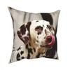 Dalmatians Pet Dog Square Pillow Case Polyester Decorative Pillow Animal Lover Fashion Cushion Covers