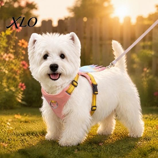 Secure Training Harness No Pull Dog with 5Ft Leash, Cute Colorful Wings Harness, Adjustable Soft Nylon Chest Strap Reflective Vest Handle for Walking