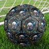 Underwater Prehistoric Marine Life Round Football Size 5 Adult Ball Suitable for Training Matches and Outdoor Team.