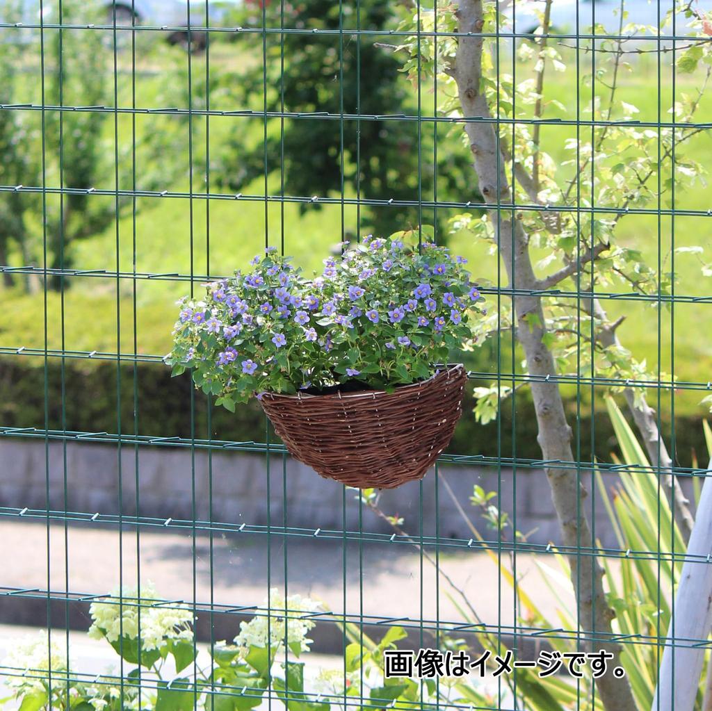 Takasho Gardening Basket Rattan Wall Hanging Basket L Planter Stylish Planter Natural Willow G-story Wall-mounted GSTR-FG17