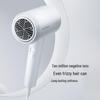 FLYCO FH6290 1800W Negative Ion Hair Dryer CN plug (adapter included)