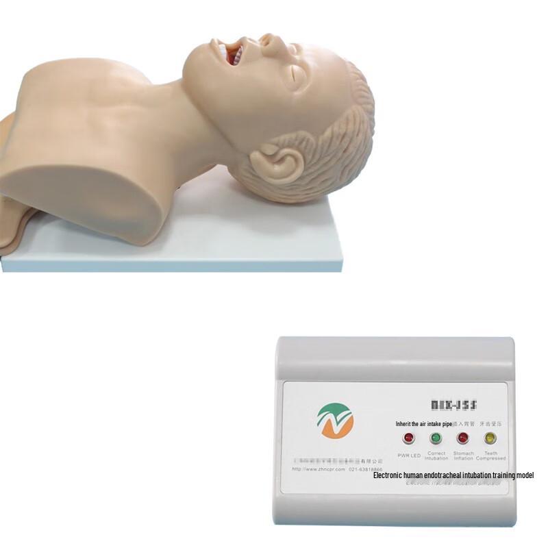 Chengzhi Electronic Tracheal Intubation Simulator