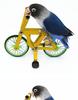 Parrot Bicycle Toy: Interactive Training Tool for Small Birds