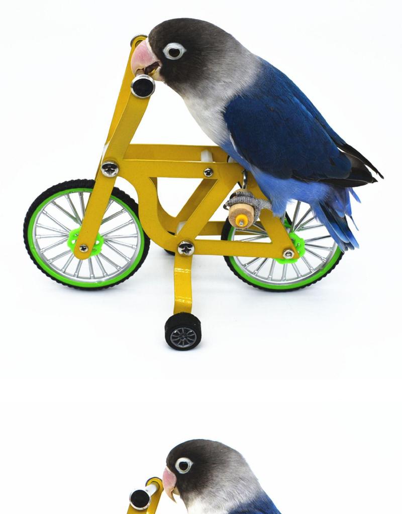 Parrot Bicycle Toy: Interactive Training Tool for Small Birds