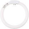 Slim Palook Fluorescent Lamp FHC13ECW 13 Type Round Cool Color