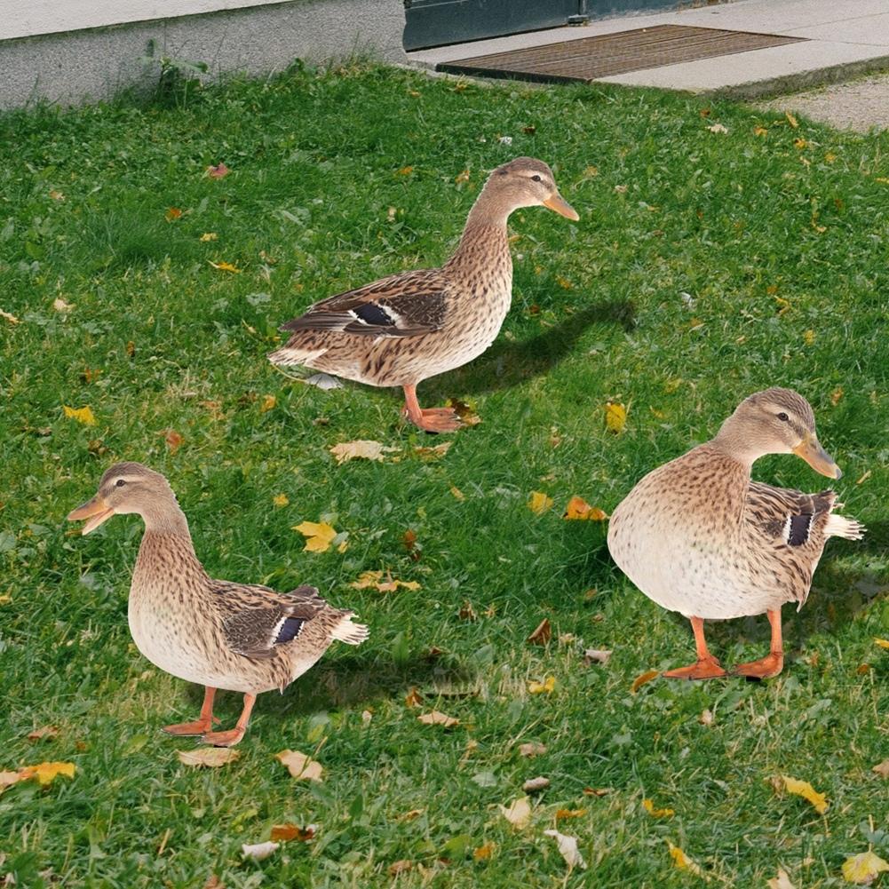 Resin Garden Statue Animals Stake Balcony Duck Farm