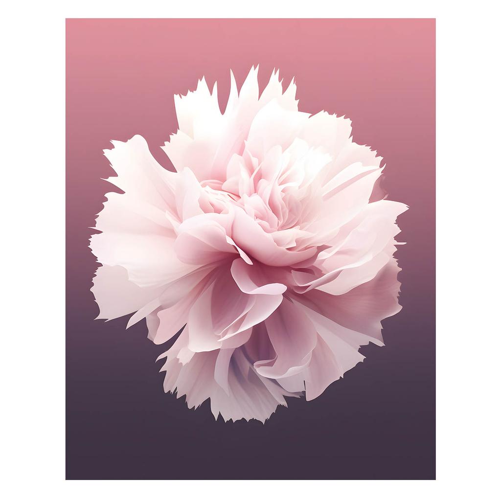 Eteryczna Piękność Eteryczna Piękność, 30X40 Cm, Rama Drewniana Ciemny Brąz, Papier Matowy 230 Gsm