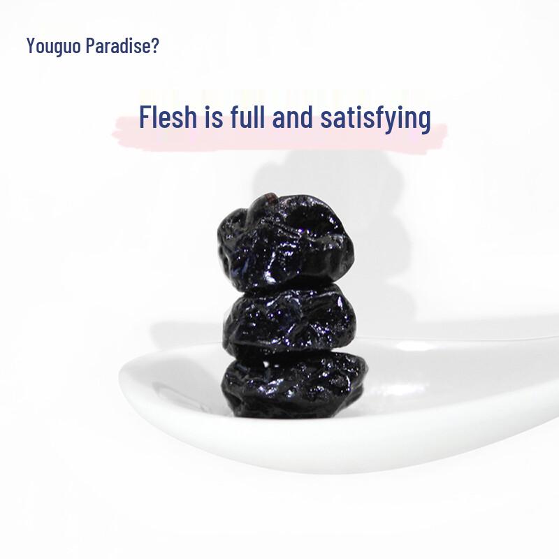 Yoogoo Paradise Unsweetened Dried Blueberries
