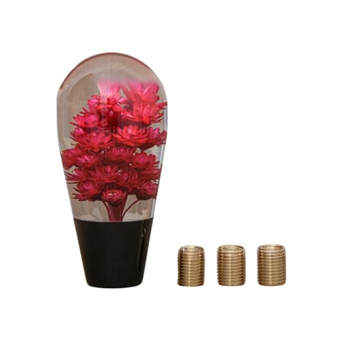 

SCGEHA Crystal Knob Vase, акрил, универсальная, AT MT, грузовик, спортивный автомобиль, цветы, подводные цветы, стильная, маленькая, адаптер в комплекте (красный)