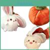 Cute Bunny Plush Toy Transforming Pigshi Into A Bunny