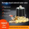 24V LKW & 12V Auto Wassersprinkler Magnetsteuerventil & Elektronischer Auslöseschalter
