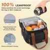 Lunch Bag , 17L Expandable Double Deck Lunch Cooler Box, Lightweight Leakproof Lunch Tote Bag W/ Side Tissue Pocket&Adjustable Shoulder Strap
