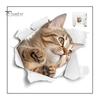 Cat – jako na obrázku