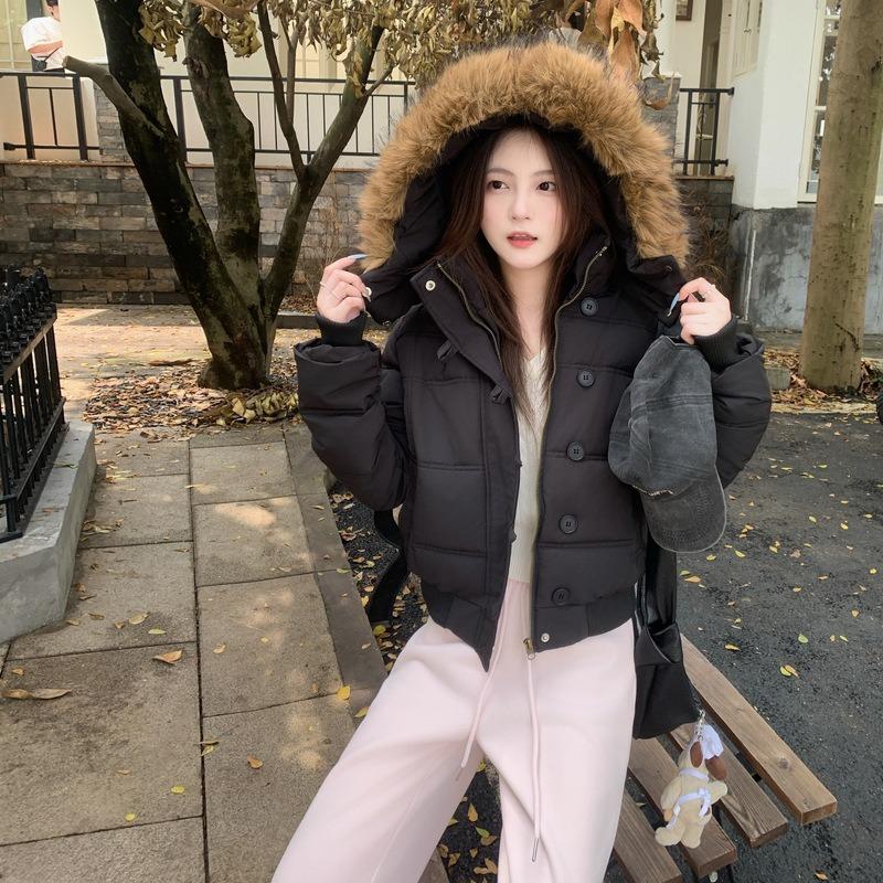 Winter new hooded cotton-padded clothes, cotton-padded clothes are thin and simple, big fur collar short coat women