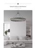 Modern Minimalist Italian Glass Chandelier for Living Room and Master Bedroom