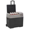 VidaXL Cooler with Wheel and Handle Black and Grey 40 L Polypropylene, Electric Cooler, Compressor Refrigerator, 51782