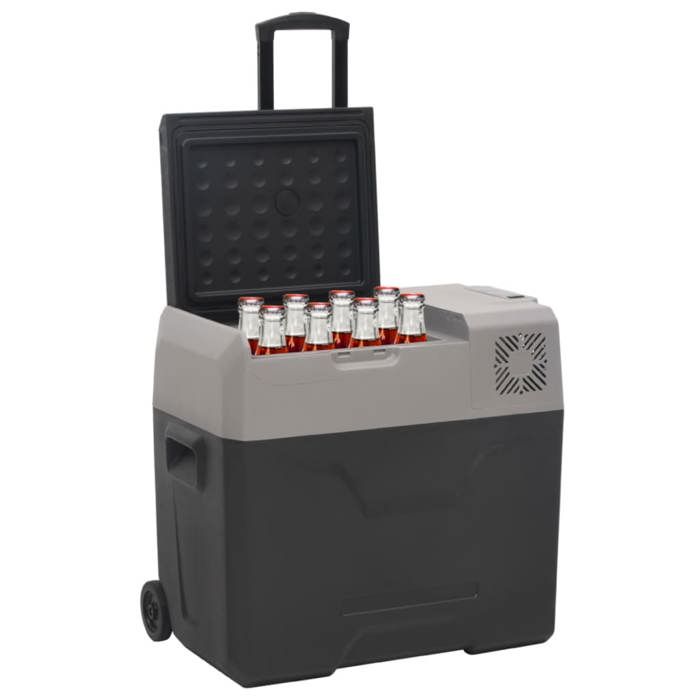 VidaXL Cooler with Wheel and Handle Black and Grey 40 L Polypropylene, Electric Cooler, Compressor Refrigerator, 51782
