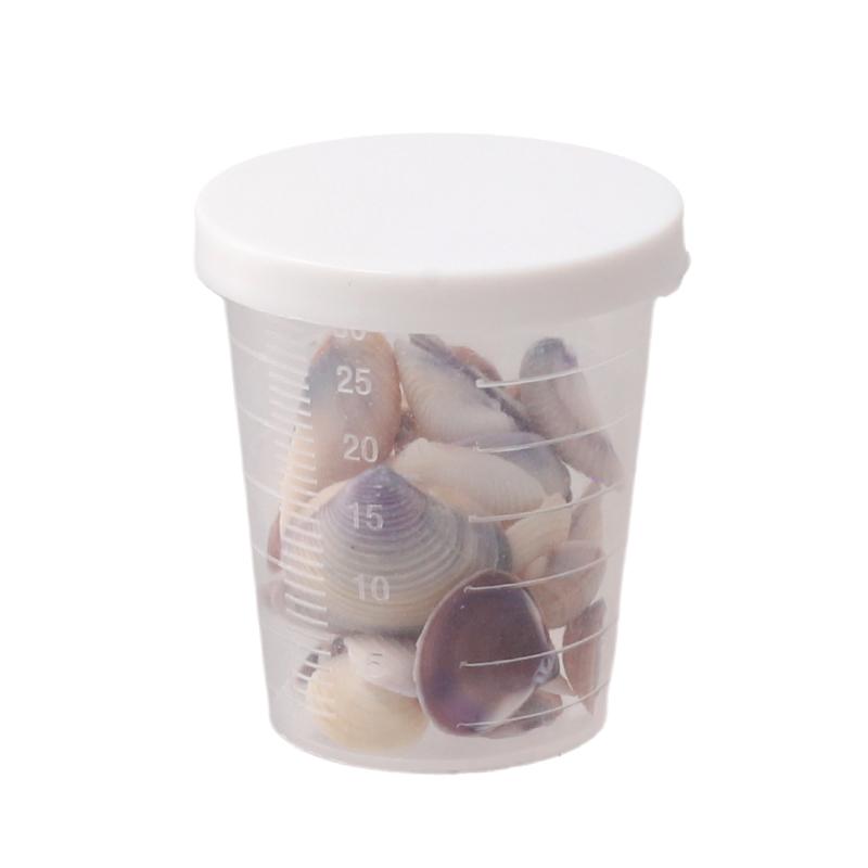 1 Sada DIY Doplňků DIY Šperky Materiály Akvarijní Krajina Miniaturní Mušle Mini Mušle Oceánský Styl Různé