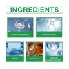 Car Interior Refurbishment Agent, Cleaning, Decontamination, Material Waterproofing, Interior Polishing,100ml