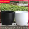 Egg-Shaped Resin Flower Pot - Large White/Black for Indoor Plants