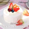 Miaomyao Food Sample Dummy Cake, Fake Cake, Clay Cake, Whole Cake, White Cake, Toy