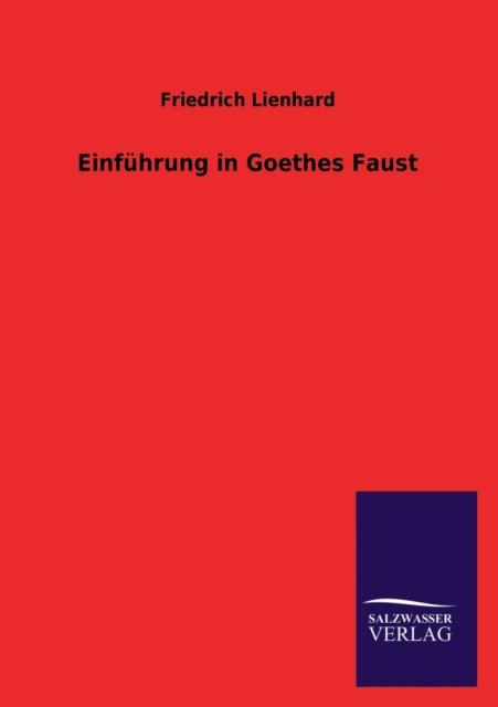 Kniha Einfuhrung In Goethes Faust