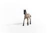 Schleich Horse Club Criollo Definiteivo (foal) 13949
