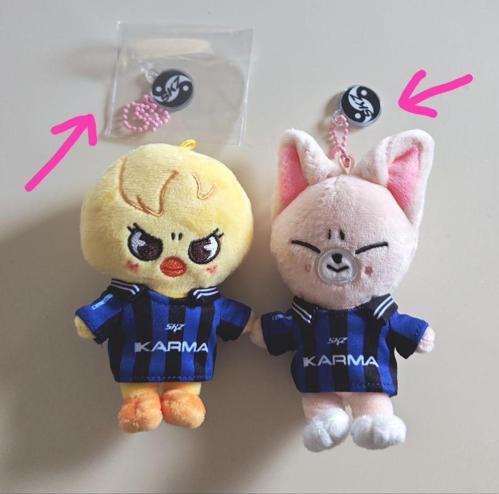 [USED] Stray Kids KARMA SKZOO version AIN