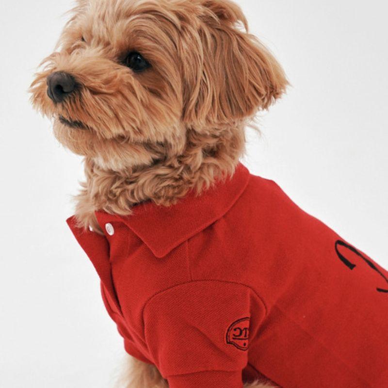 CROOKTHECHIHUAHUA Standard Half PK Top ( 6color )