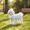 Princess Style Quilted Cotton Dog Thermal Jacket Fluffy Collar Button Style Pet Sweater Soft Warm Winter Dog Coat Indoor